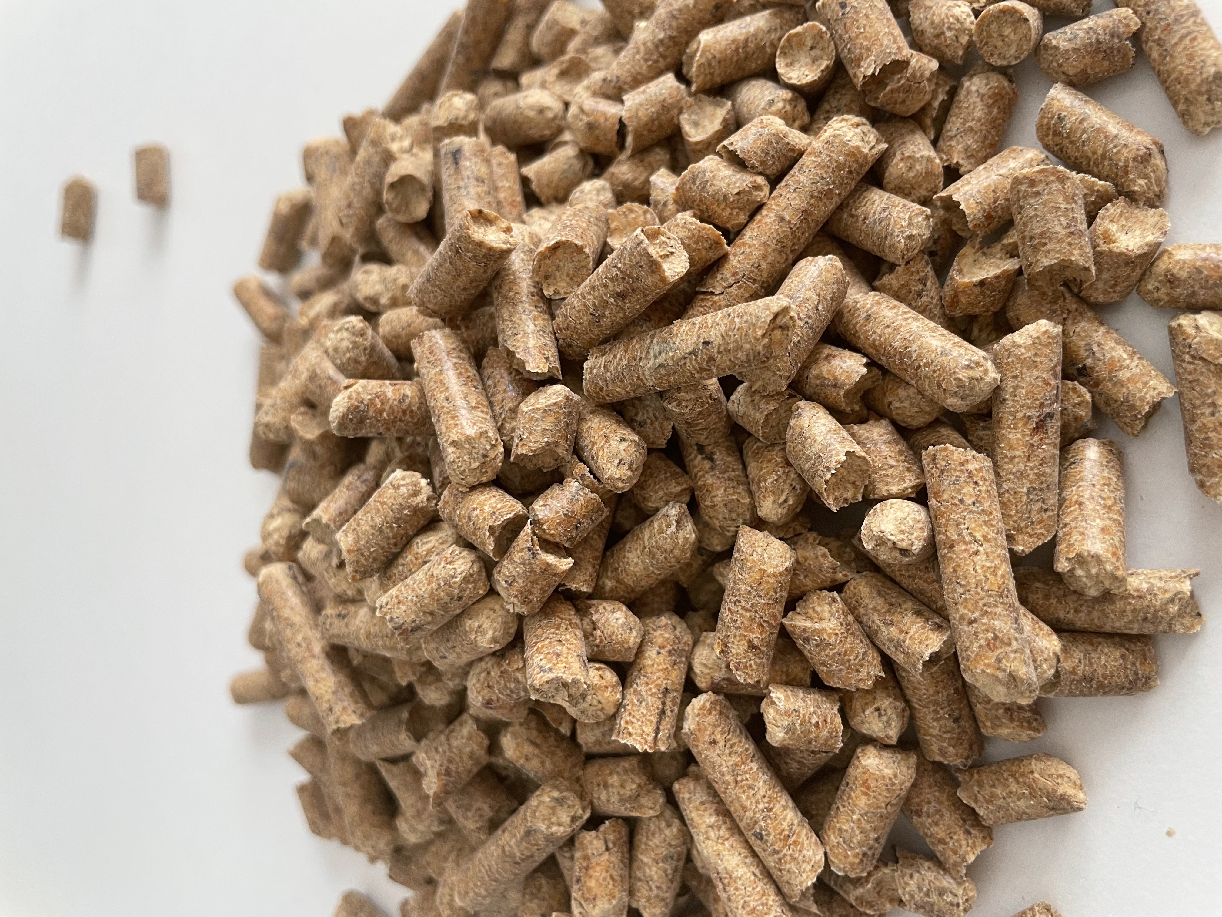 Pine Pellet- Bio Energy  