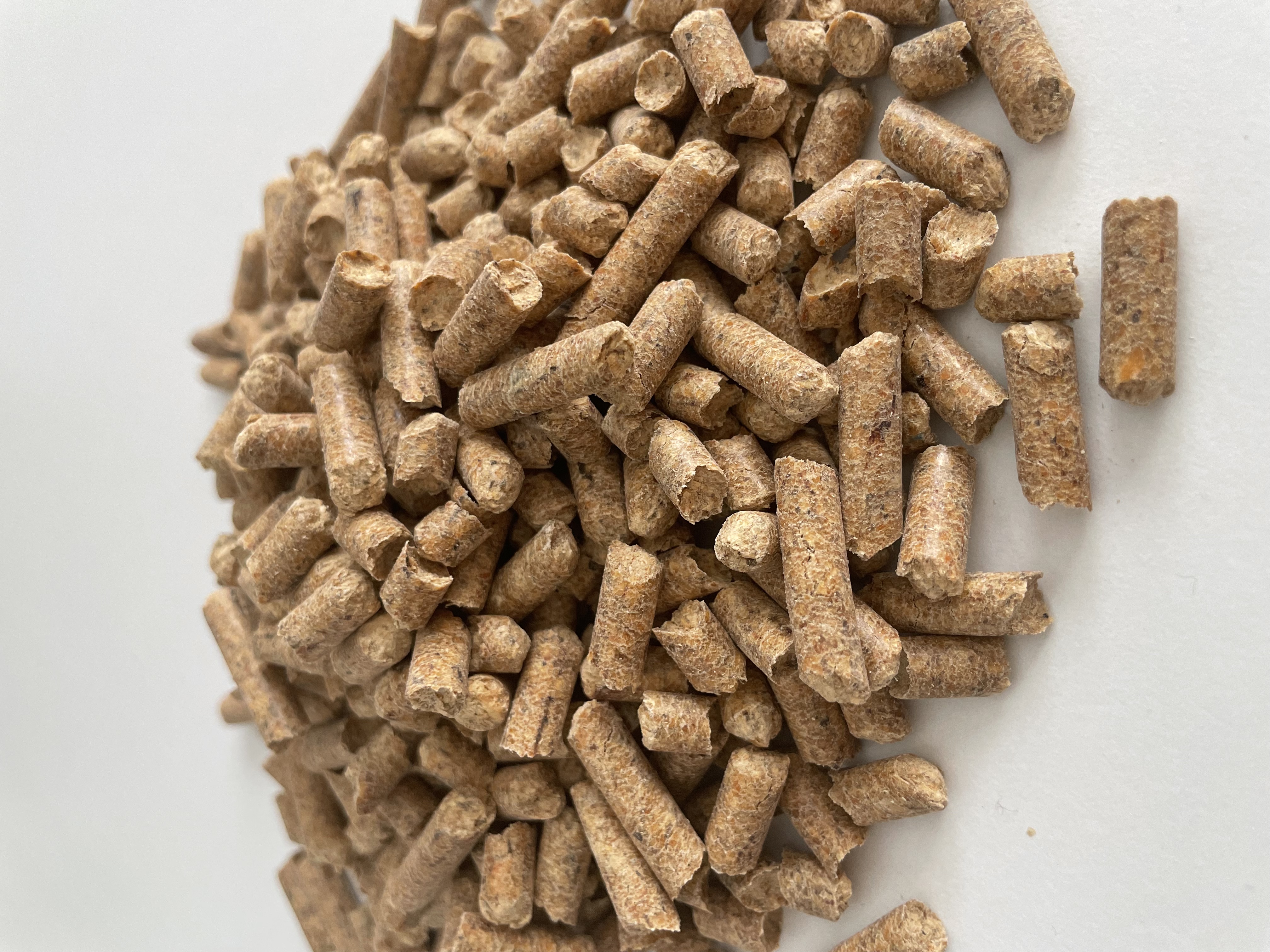 Pine Pellet- Bio Energy  